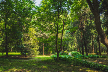 Path among woods in park near West Lake, Hangzhou, China