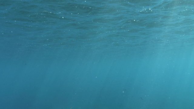 Subwater view of a girl falling into the sea