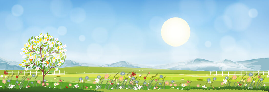 Summer mountain landscape with blue sky and clouds, Panorama Green fields, fresh and peaceful rural nature in springtime with green grass land. Cartoon vector illustration for spring and summer banner
