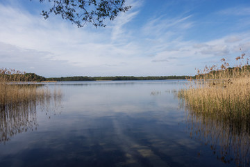 Blick über den Schaalsee