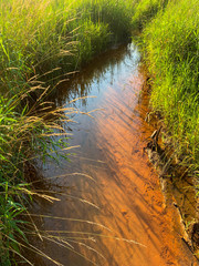 stream with orange clay and grass
