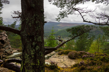  Scenic view from summit of Craig Coillich. Ballater, Royal Deeside, Aberdeenshire, Scotland, UK