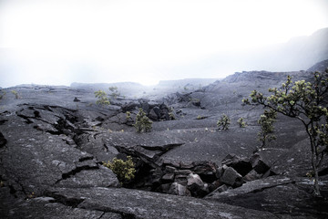 Cracked earth in the volcanic crater