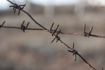 barbed wire