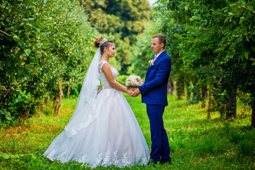 bride and groom hold hands, stand in front of each other on a background of green park