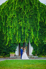 Romantic couple newlyweds, bride and groomhold hands and kissing, greenery in the Botanical garden. Wedding ceremony on nature. green vineyard