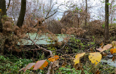 the dam blocked the river, the beavers built