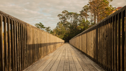 Obraz premium Travel to Hilton Head Island, SC