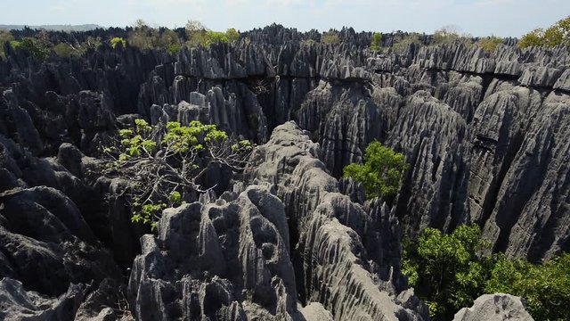 Tsingy de Bemaraha National Park Madagascar 
