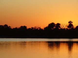 Orange Sunset silhouette with reflection in Florida Swamp #1