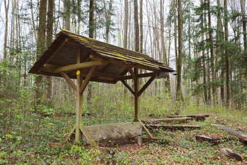 Obraz premium Wooden roof shelter in forest path offering shelter for hikers, with Way of St-James yellow shell on it