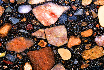 Cut slab of Original Route 66 Pavement showing rock aggregate and matrix, east of Navajo, Arizona