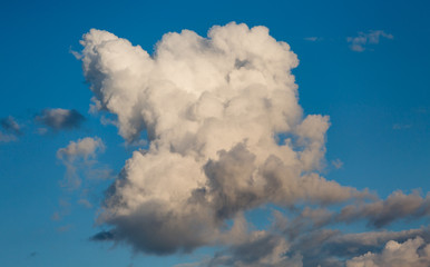 Naklejka premium Cumulus clouds in a blue sky.