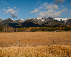 The Autumn Grasses of Montana