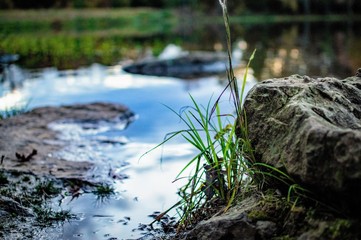 water