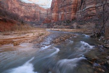 Desert red rocks with running creek in Zion National Park