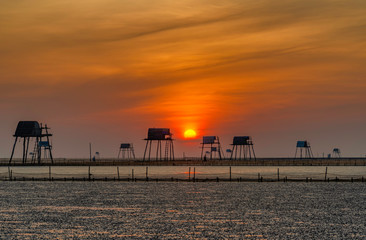 Morning in the Dong Chau Beach, Tien hai district, Thai Binh province, This is one of largest Clam farm of Vietnam for domestic market and export Viet Nam.