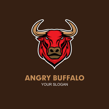 Bulls Head Logo