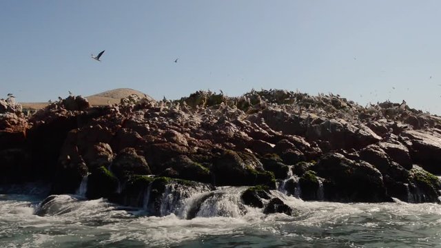 Paracas Peru