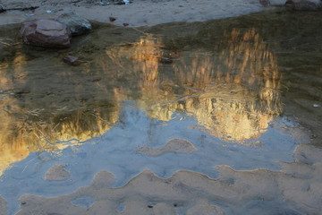 Red rock reflection in icy pool in Zion National Park