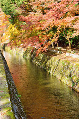 京都　哲学の道の美しい紅葉 Beautiful Autumn leaves on Philosopher's Path (Tetsugaku no Michi) in Kyoto, Japan