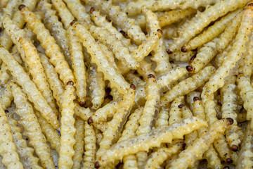 Deep fried bamboo worms for sale at a Thai street market