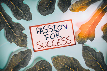 Text sign showing Passion For Success. Business photo showcasing Enthusiasm Zeal Drive Motivation...