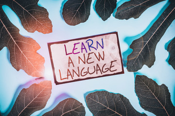 Text sign showing Learn A New Language. Business photo showcasing Study Words other than the Native...
