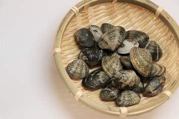 あさり
