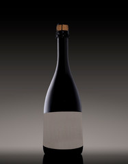 minimalist display of a bottle of sparkling wine