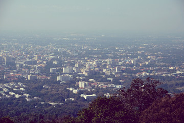 tree on the mountain at sunset sky cloud light sun landscape wit