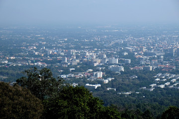 Obraz premium tree on the mountain at sunset sky cloud light sun landscape with view city skyscape background