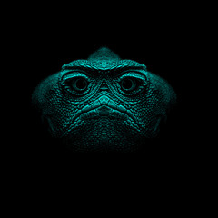 Lizard cartoon head and chameleon face isolated  illustration. Design for stickers, logo, embroidery, mobile app. © ZWM