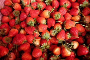 background from freshly harvested strawberries, organic berries macro