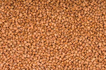 Buckwheat Background