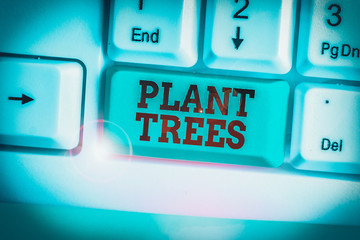 Conceptual hand writing showing Plant Trees. Concept meaning process of planting a tree for land...