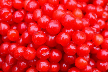 Wet cherry berries close-up. 