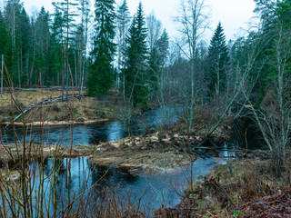 Obraz premium landscape with sandstone cliff on river bank