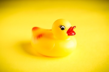Yellow Rubber duck on yellow background