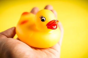 Yellow Rubber duck on yellow background