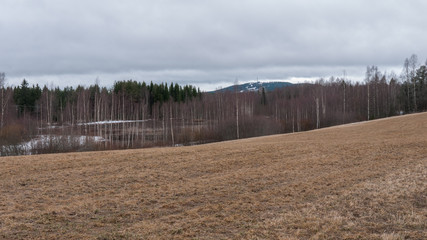 Spring Landscape with wheat Field under Clouds in central Sweden