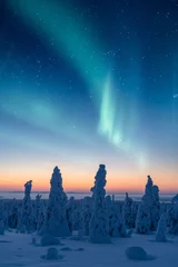 Fotobehang Snow packed trees under a beautiful northern lights © Jamo Images