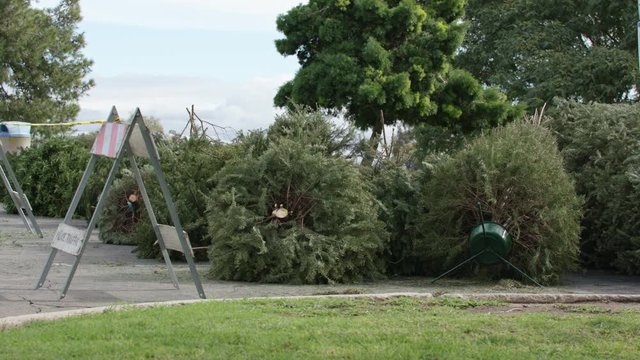 Christmas Tree Drop Off Area