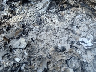 Close-up of ashes from incineration