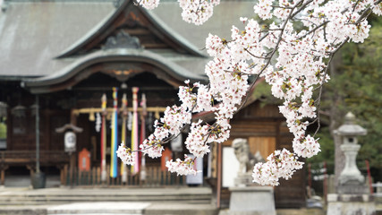 福井 観光 風景