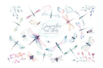 Watercolor fly dragonfly spring wings illustration summer insect collection of bees and wreath dragonflies