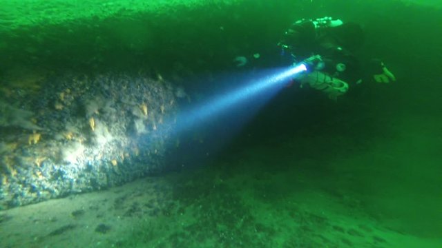 Nurkowanie Diving Buceo Mergulho Tauchen
