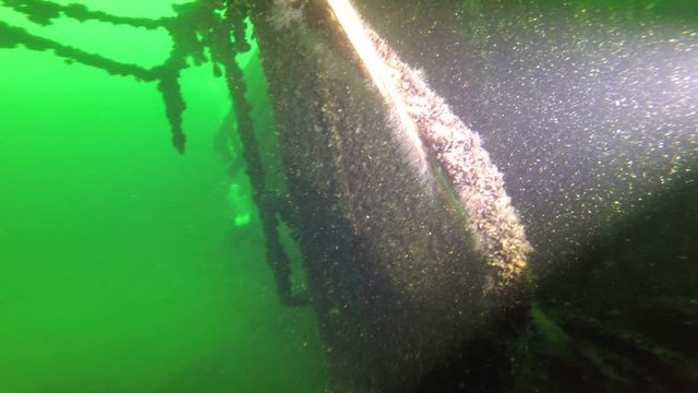 Nurkowanie Diving Buceo Mergulho Tauchen