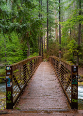 Fototapeta premium Wood bridge on Forest, Oregon State, Rainforest, old style bridge, nature