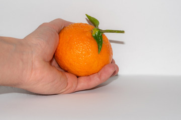 Orange isoliert auf weiß - mandarine in der Hand